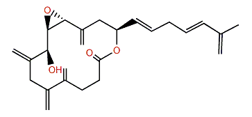Amphidinolide V